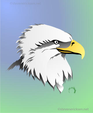 Eagle Profile Face
